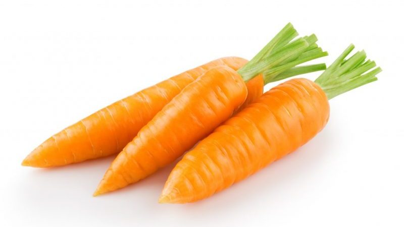 Reference French carrot variety Carotel