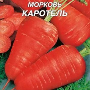Reference French carrot variety Carotel