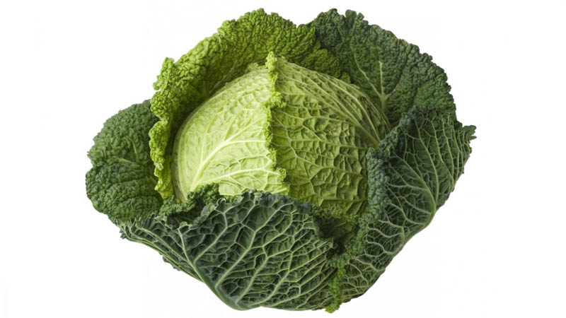 Proven ways to store Savoy cabbage for the winter at home