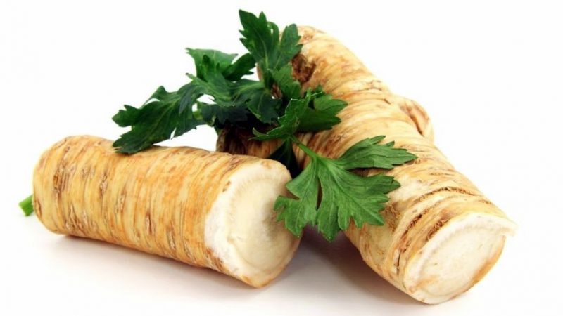 Do-it-yourself burning blank: is it possible to freeze horseradish for the winter and how to do it right