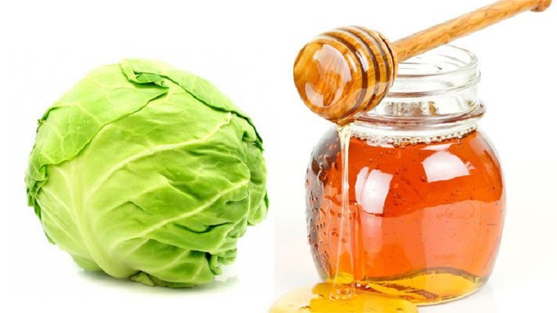 How to use cabbage with honey for coughs and how effective it is