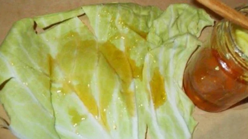 How to use cabbage with honey for coughs and how effective it is