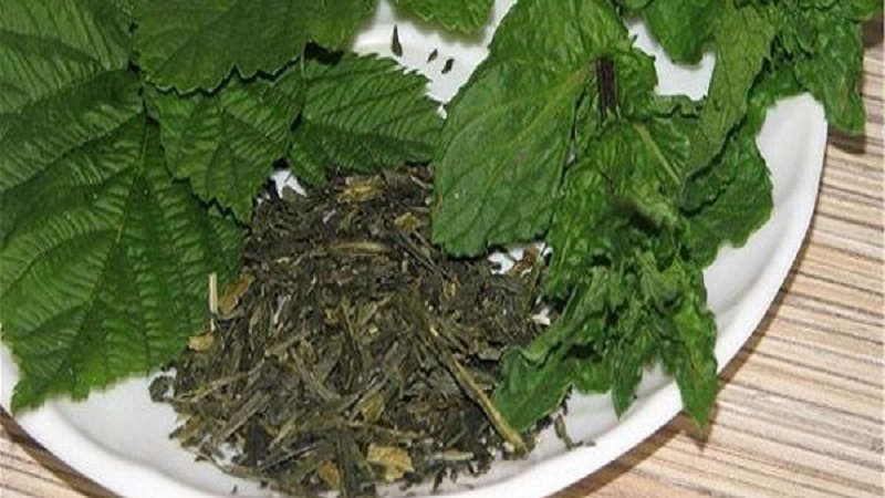 How to properly prepare raspberry leaves for the winter for tea at home