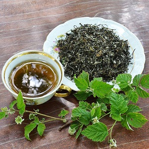 How to properly prepare raspberry leaves for the winter for tea at home