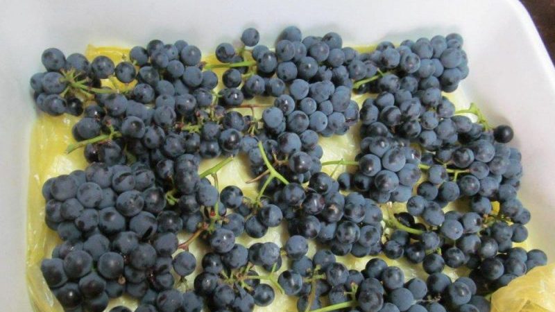 How to properly freeze grapes for the winter in the freezer and is it possible to do it
