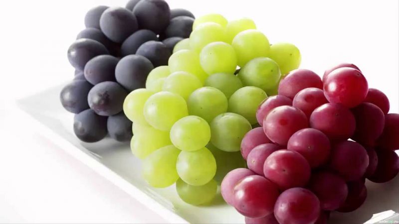 How to properly freeze grapes for the winter in the freezer and is it possible to do it