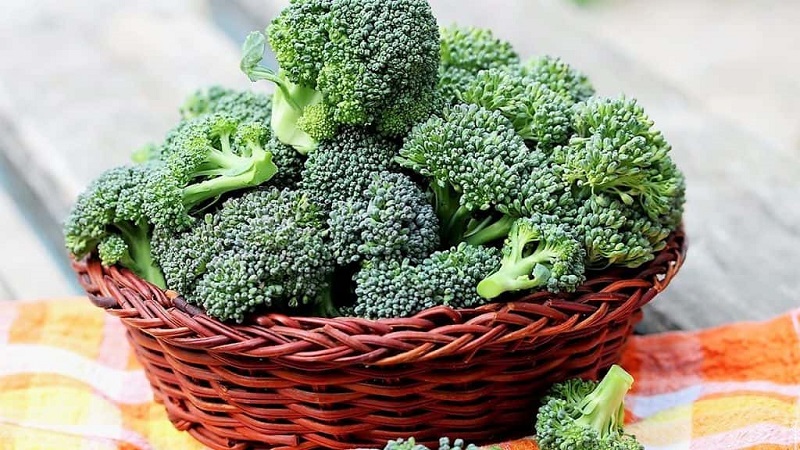 How to properly freeze broccoli for the winter at home: step by step instructions and use of the blank