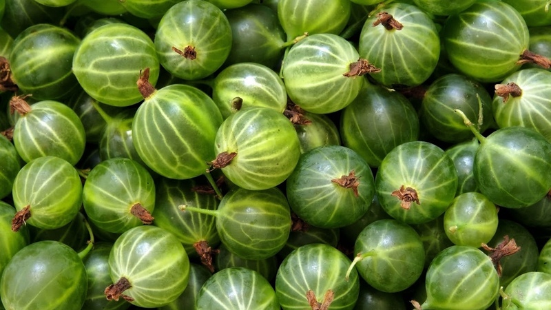 How to properly freeze gooseberries for the winter in the freezer: the best ways