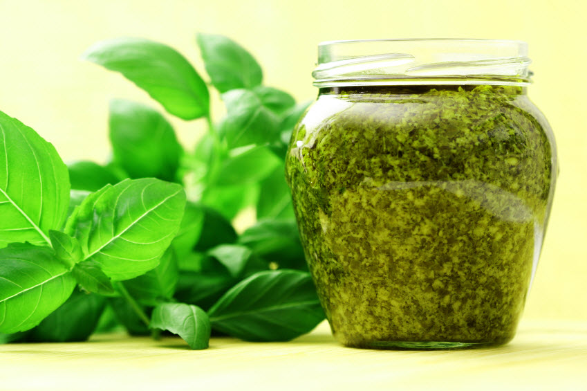 The best ways to keep basil for the winter at home