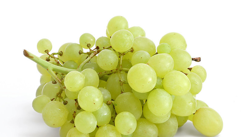 Proven ways to keep grapes for the winter at home