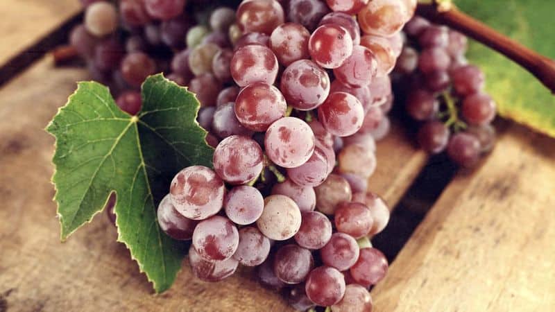 Proven ways to keep grapes for the winter at home