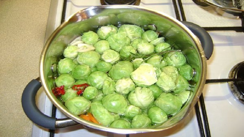 The best recipes on how to salt Brussels sprouts for the winter