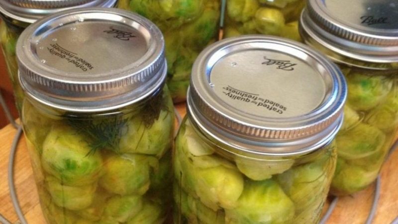 The best recipes on how to salt Brussels sprouts for the winter