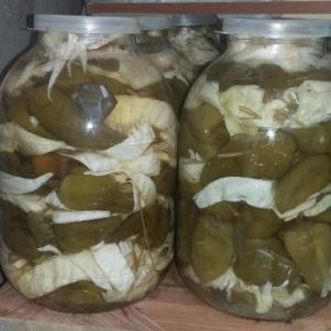 The best recipes on how to salt tarkin pepper with cabbage quickly and tasty