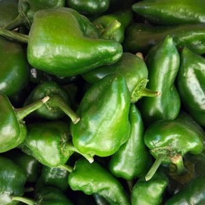The best recipes on how to salt tarkin pepper with cabbage quickly and tasty