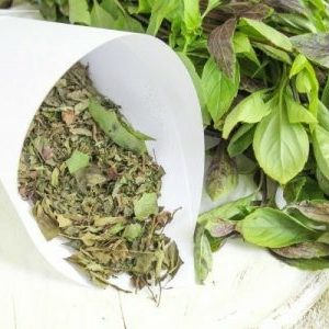 When to collect and how to properly dry basil at home