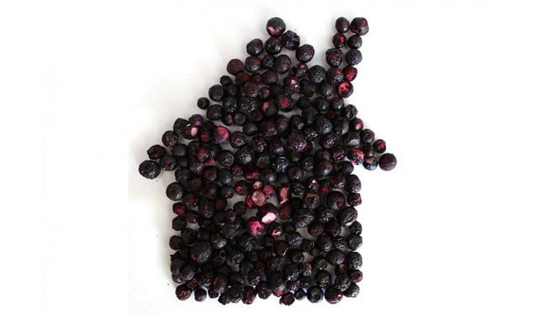 The best ways to dry black currants at home