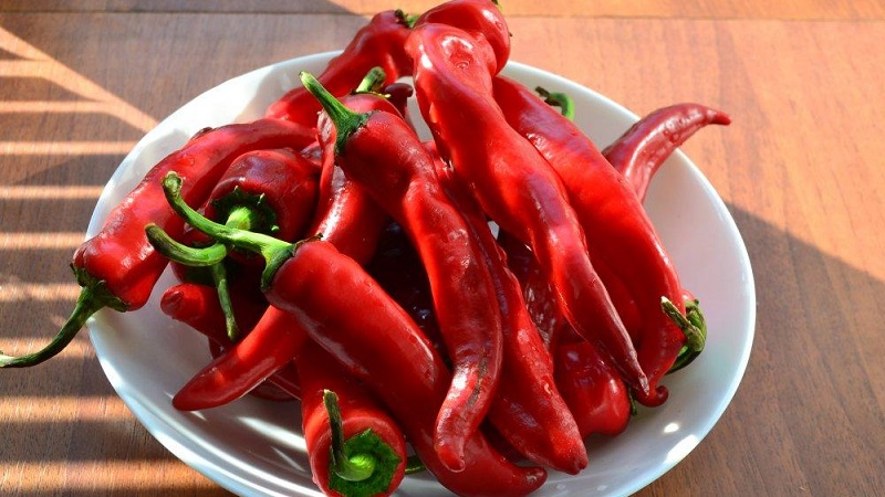 How to deliciously prepare Tsitsak pepper for the winter: the best recipes and recommendations of experienced housewives