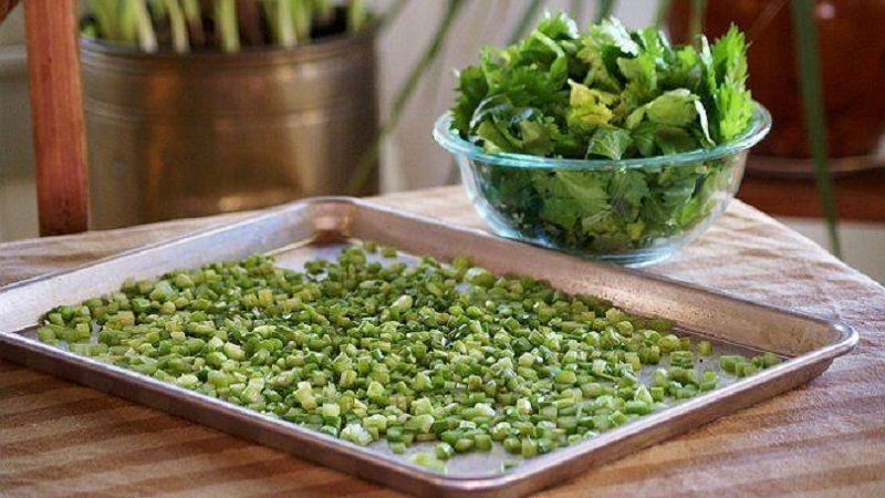 How to prepare different types of celery for the winter: the best ways and proven recipes