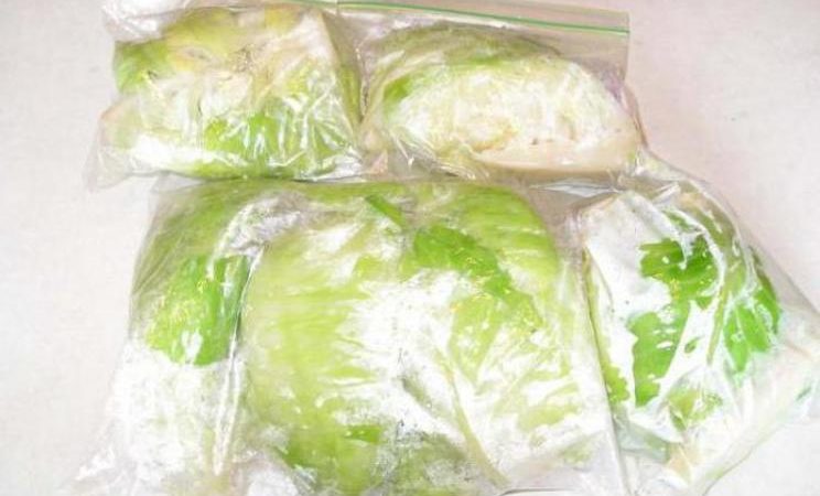 The best ways to freeze white cabbage for the winter at home