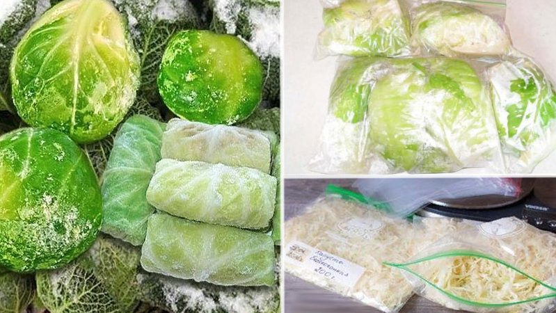 The best ways to freeze white cabbage for the winter at home