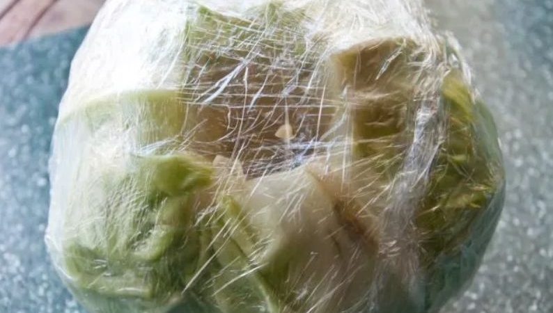 The best ways to freeze white cabbage for the winter at home
