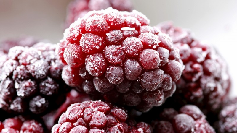 The best ways to freeze raspberries for the winter correctly