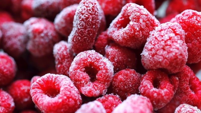 The best ways to freeze raspberries for the winter correctly