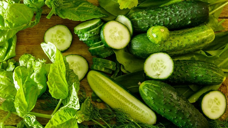 What are the varieties of cucumbers, full classification