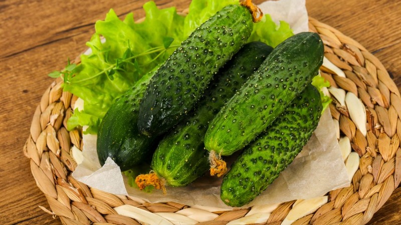 What are the varieties of cucumbers, full classification