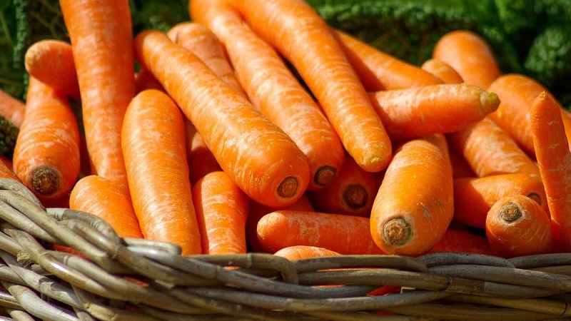 Calorie content, vitamins and nutritional value of fresh and cooked carrots