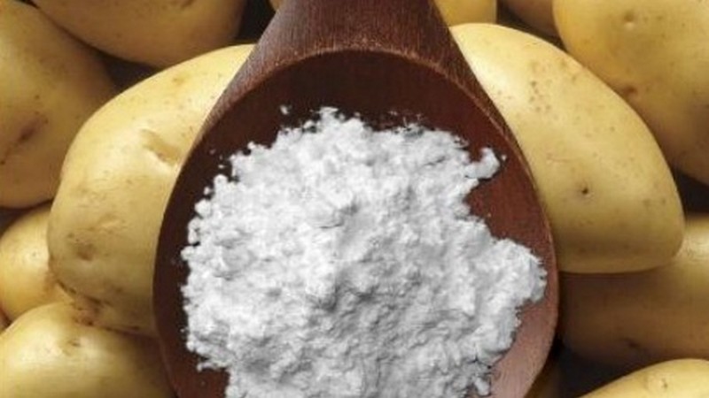 Starch in potatoes: varieties with high and low content in the composition