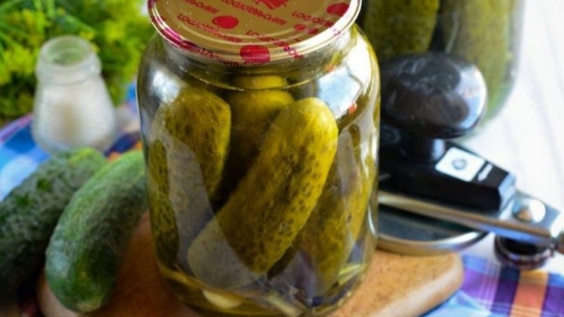 Delicious recipes for the winter: cold pickled cucumbers in jars