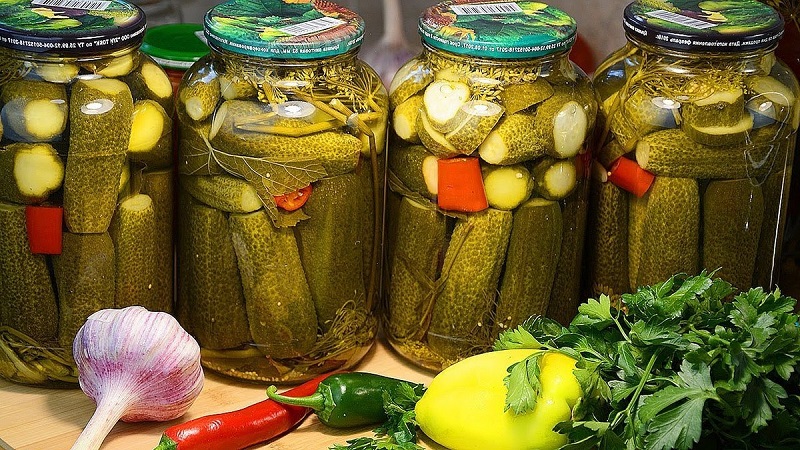 Delicious recipes for the winter: cold pickled cucumbers in jars