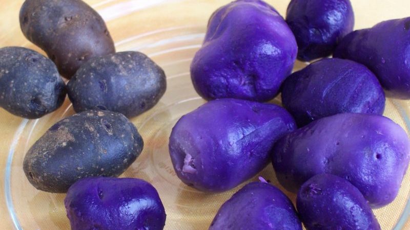 The healing properties of potato juice
