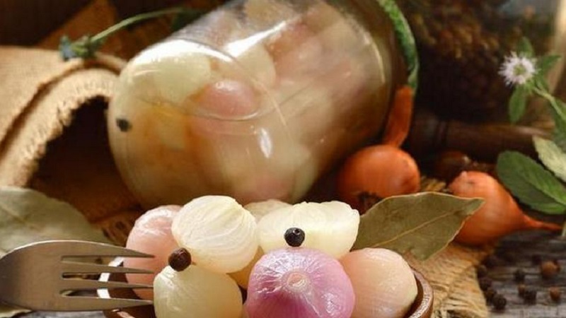 The best recipes for pickled onions for the winter at home