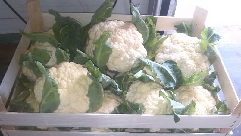 The best ways to keep cauliflower for the winter at home