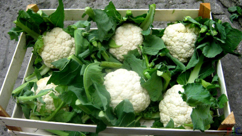 The best ways to keep cauliflower for the winter at home