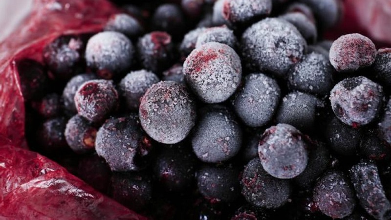 The best ways to freeze black currants for the winter in the freezer