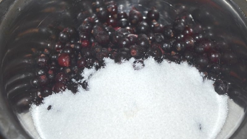 The best ways to freeze black currants for the winter in the freezer