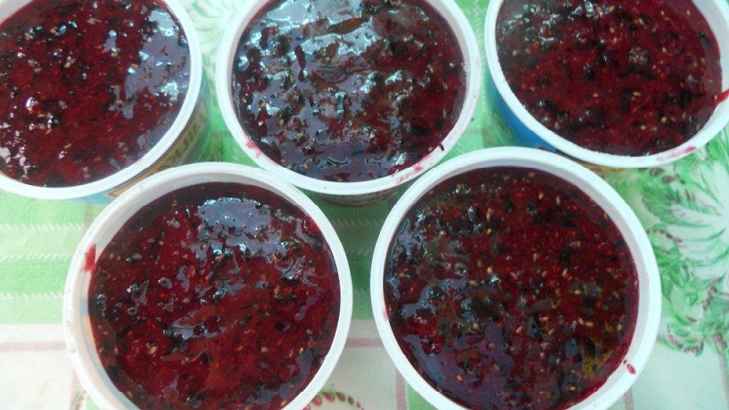 The best ways to freeze black currants for the winter in the freezer