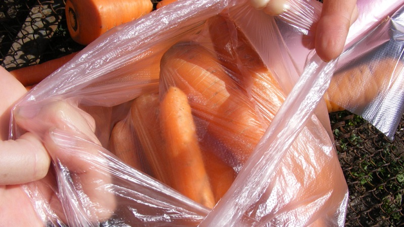 Features of storing carrots in packages in winter in the underground