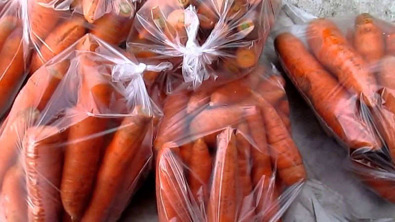 Features of storing carrots in packages in winter in the underground
