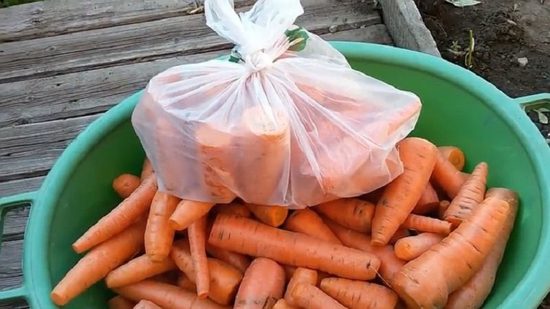 Features of storing carrots in packages in winter in the underground