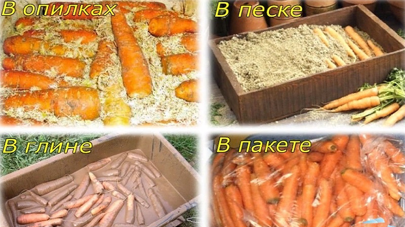 Features of storing carrots in packages in winter in the underground