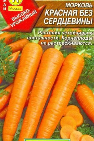 Features of red carrots without a core