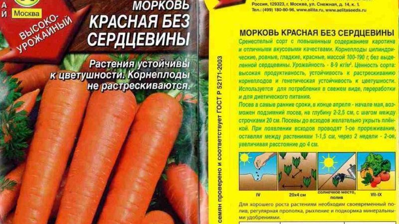 Features of red carrots without a core