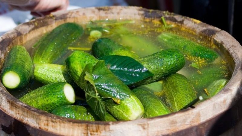 Features of pickling cucumbers for the winter in a barrel: recipes for cold pickling