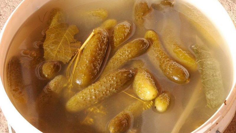 Features of pickling cucumbers for the winter in a barrel: recipes for cold pickling