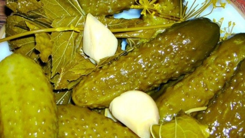 Features of pickling cucumbers for the winter in a barrel: recipes for cold pickling